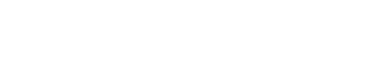 tiggo8